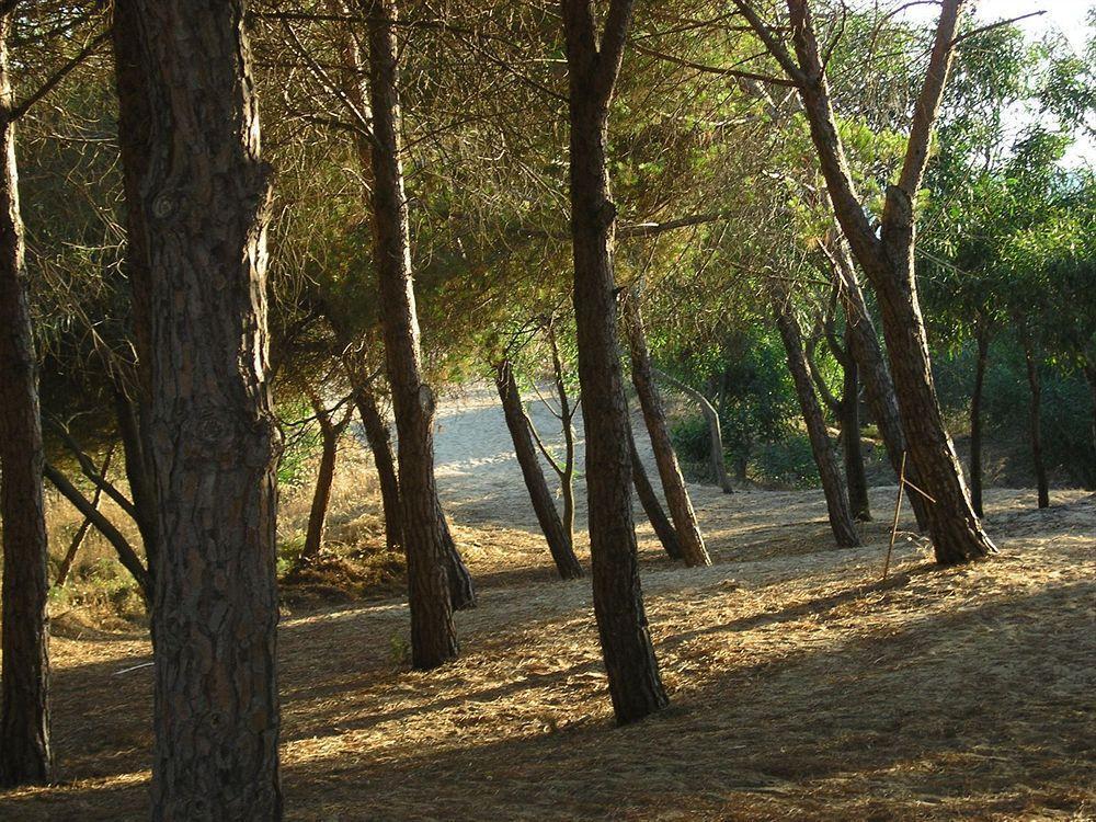 Budget Hotel Vittoria & Ristorante Marzio Εξωτερικό φωτογραφία